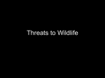 Threats to Wildlife - UK College of Agriculture