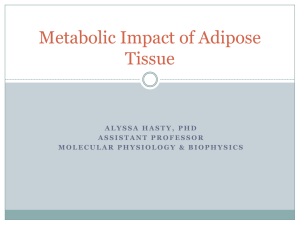 Adipose Tissue