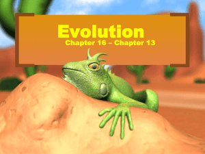 Evolution Notes