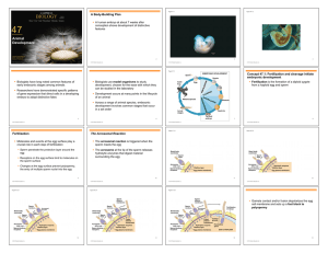 Chapter 47 - Animal Development