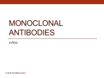 Powerpoint Presentation: The Monoclonal Antibodies