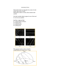 E. Sci. Astronomy Notes