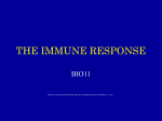 the immune response - hrsbstaff.ednet.ns.ca