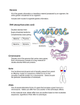 Genome DNA (deoxyribonucleic acid) Chromosome Gene Allele