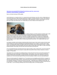 Canine Influenza Virus (CIV) Information https://www.avma.org