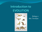 2. Evolution