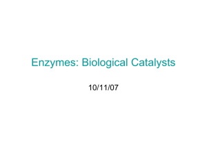 Enzymes: Biological Catalysts