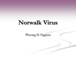 Norwalk Virus by Phuong D. Nguyen