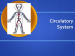 Circulatory System - St. Charles Parish