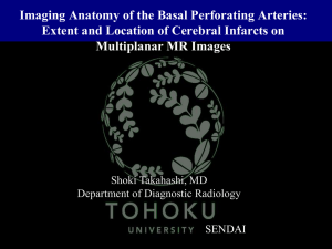 Imaging Anatomy of the Basal Perforating Arteries