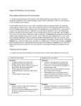 Chapter 49 Worksheet: Nervous Systems The Evolution and