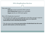 Replication, Transcription, and Translation