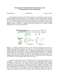 Development of Functional DNA-Based Sensors and Investigations