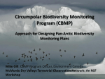 Circumpolar Biodiversity Monitoring Program (CBMP)