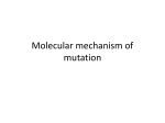 DNA repair mechanism File