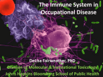 The Immune System in Occupational Disease