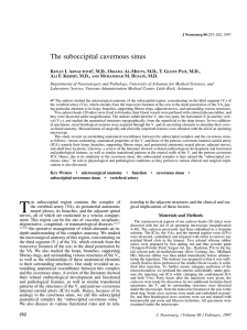 The suboccipital cavernous sinus - Vanderbilt University Medical