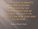 Structural elements and mechanisms involved in the transformation
