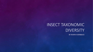 Insect taxonomic Diversity - Home