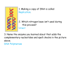 DNA Review From Class With Answers