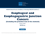 NCCN Clinical Practice Guidelines in Oncology