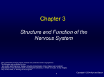 Structure and Function of the Nervous System