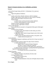 Region 15: Stomach, Intestines, Liver, Gallbladders, and Spleen