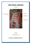 Dr.Kaan Yücel http://yeditepeanatomy1.org Pectoral region