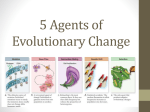 5 Agents of Evolutionary Change