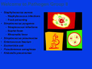 Staphylococcus aureus