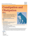 constipation_and_obstipation