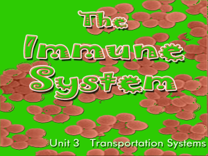 Immune System