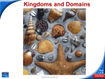 18-3 Kingdoms and Domains