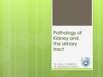 Benign and Malignant Tumours of the Kidney and