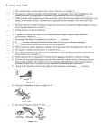 Evolution Study Guide