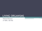 living organisms - Ciencias SEK