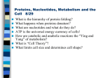 Basics of What You Need to Know About Carbohydrates, Cells