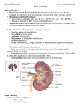 Renal Physiology