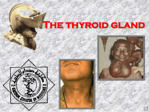 inferior thyroid a.