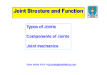Types of Joints Components of Joints Joint mechanics
