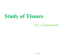 Study of Tissues