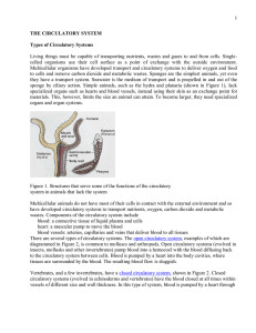 1 THE CIRCULATORY SYSTEM Types of Circulatory Systems