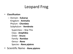 Frog Body Parts and Functions