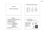 Lecture 3 Proteins and Disease Protein structure summary… Recap…