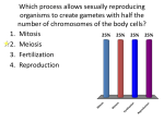 What creates variation in the offspring of sexually reproducing