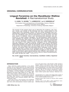 Lingual foramina on the mandibular midline