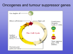 oncogenes