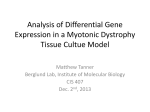 Analysis of Differential Gene Expression in a Myotonic Dystrophy