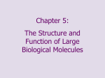 Fatty acid