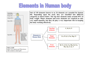 Elements in the Human Body